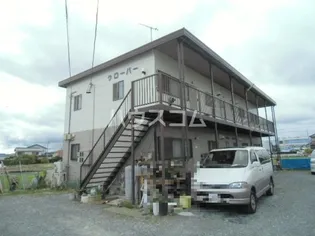 クローバーの画像