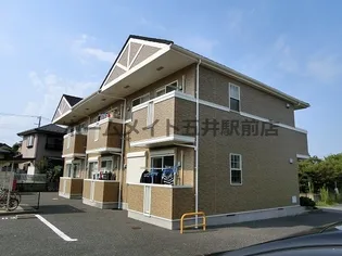 ネオグレースの画像