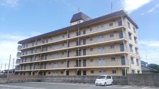 パステルコート東新川の画像