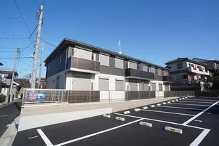 グリーンコモドの画像