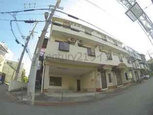 モンジットの画像