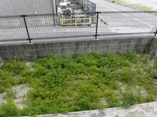 エスペランサ・カルム B棟【2階】の内装