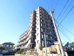 グランドパレスNS-77【5階】の外観