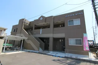 ロイヤル カクタスの画像