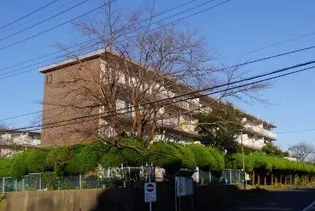 成田第一住宅 3号棟の画像