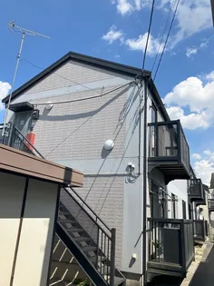 リトルベアーの画像