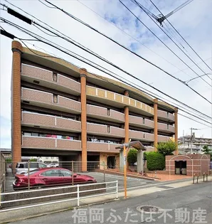 シャルドーネ石丸の画像