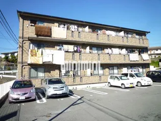 ヴィクトワールレーブの画像