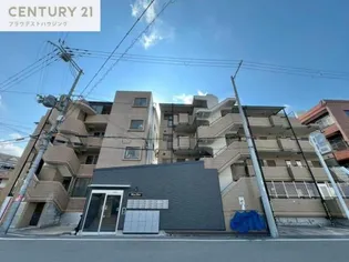 ミライ ハイムの画像