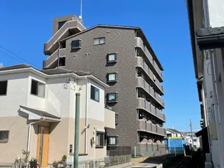 フィオーレ観月の画像