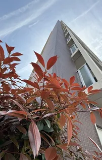 東京都台東区寿3【マンション】の外観