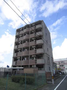 グレイスシャトルの画像