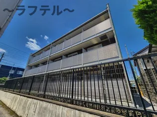 ミランダセレブIIの画像