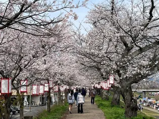 プエンテスール【5階】のその他画像