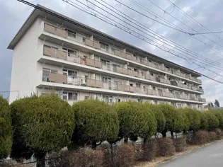 渚マンション【3階】の外観