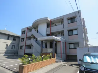 マ メゾン Y Oの画像