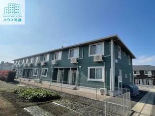 ルピナアサイの画像