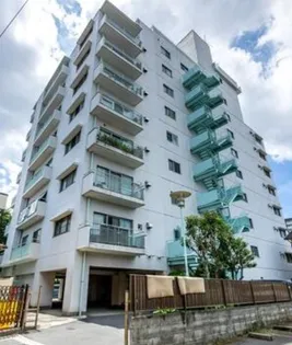 マンションロックハイツ【9階】の外観