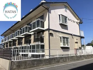 コットンウッドの画像