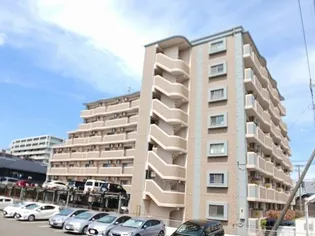 プラシード カーサの画像