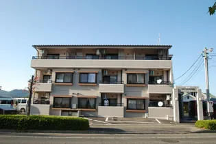 フェニックスDの画像