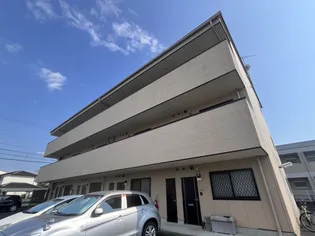 スプリームサンモールの画像