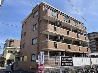 シャイン池島の画像