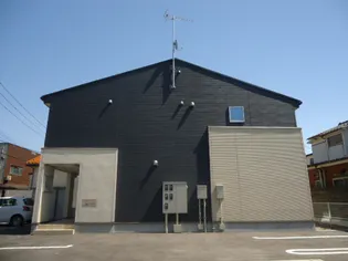 グリーン フォレストの画像