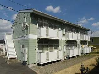 カトレアーナ松葉1の画像
