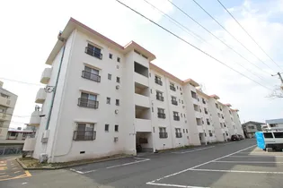 徳島県徳島市住吉4【マンション】の外観