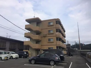 ユーミー上平野の画像