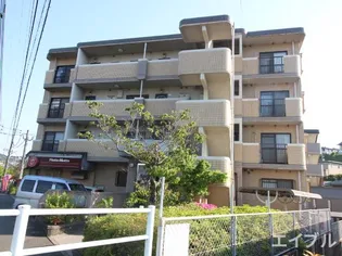 ハイ アルブル迎田の画像