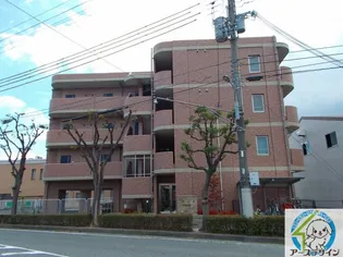 フェリチタの画像