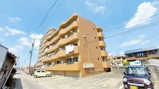 アネスト七宝の画像