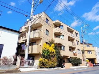 埼玉県富士見市羽沢1【マンション】の外観