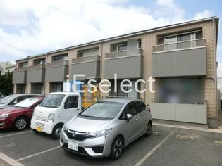 ベルリードの画像