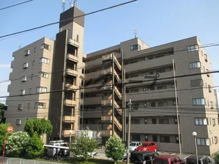 シャルムウキマの画像