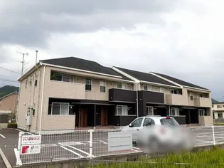 プラシードの画像