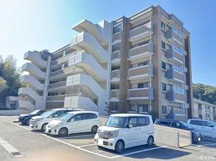 パレオコートの画像