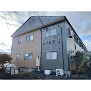 カメリア Uの画像