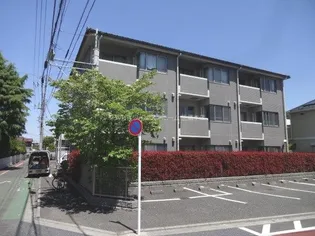 ブラウアー フォーゲルの画像