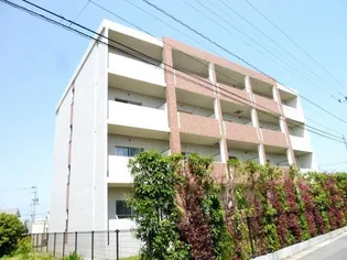 フレグランスカルディアの画像