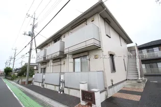 サーラの画像