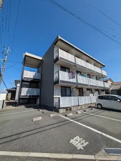 ピカソ出仲間の画像