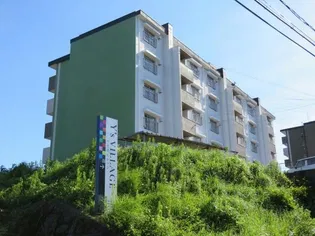 Y'S VILLAGEの画像