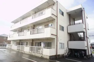 銀星ハイツA棟の画像