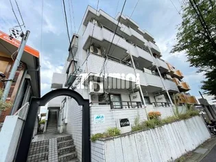 グレイス桜の画像