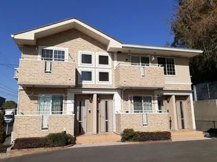 ヴィヴァーチェ Bの画像