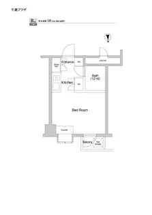 千歳プラザ【8階】の間取り