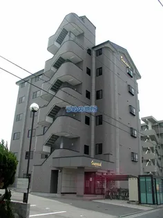 サクシードの画像